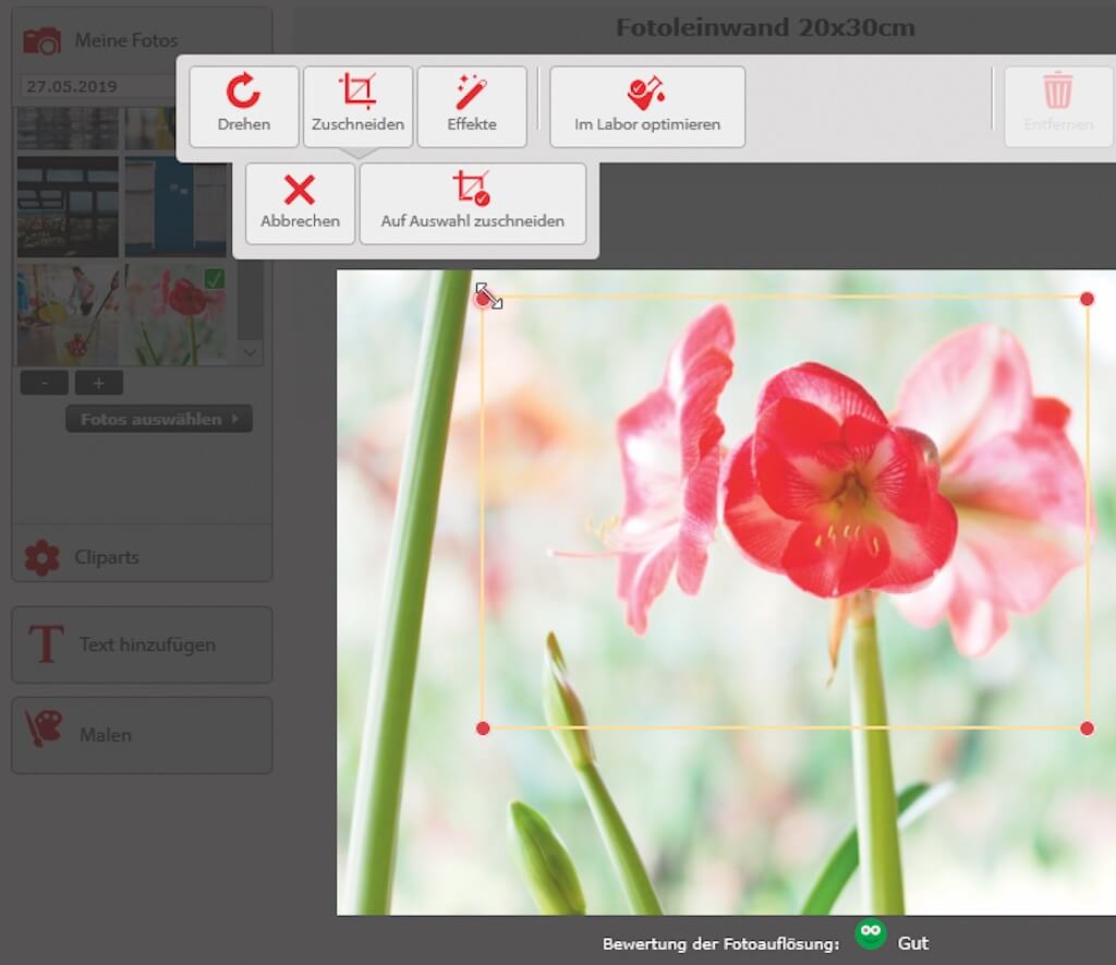 Bildkorrektur Fotos Verlustfrei Zuschneiden Fotocommunity Fotoschule