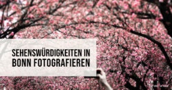 Sehenswürdigkeiten in Bonn fotografieren