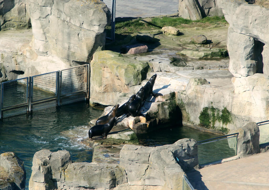 Zoo in Bremerhaven: eine schöne Sehenswürdigkeit Zoo in Bremerhaven: eine schöne Sehenswürdigkeit