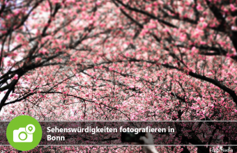 Sehenswürdigkeiten fotografieren in Bonn