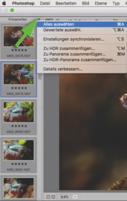 Screenshot RAW-Bearbeitung