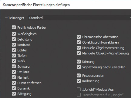 Screenshot aus Bridge