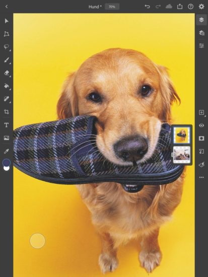Photoshop fürs iPad - Hund mit Pantoffel