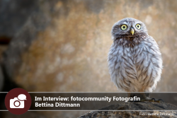 Im Interview: fotocommunity Fotografin Bettina Dittmann