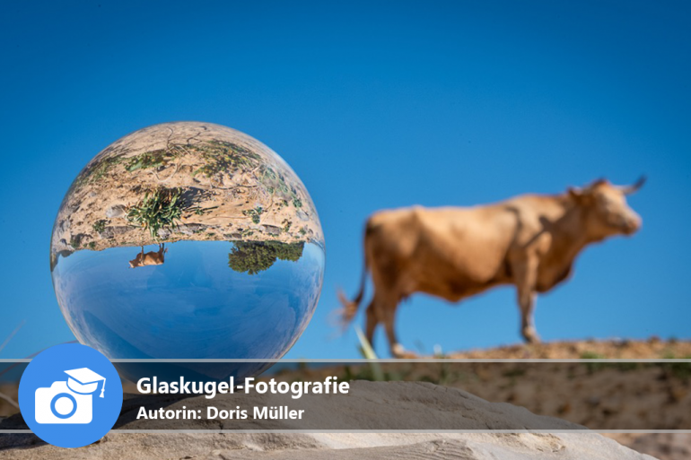 Glaskugel-Fotografie