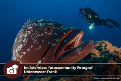 Im Interview: fotocommunity Fotograf Unterwasser Frank