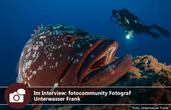 Im Interview: fotocommunity Fotograf Unterwasser Frank