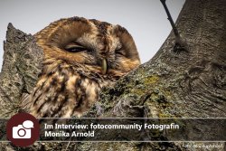 Im Interview: fotocommunity Fotografin Monika Arnold