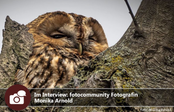 Im Interview: fotocommunity Fotografin Monika Arnold