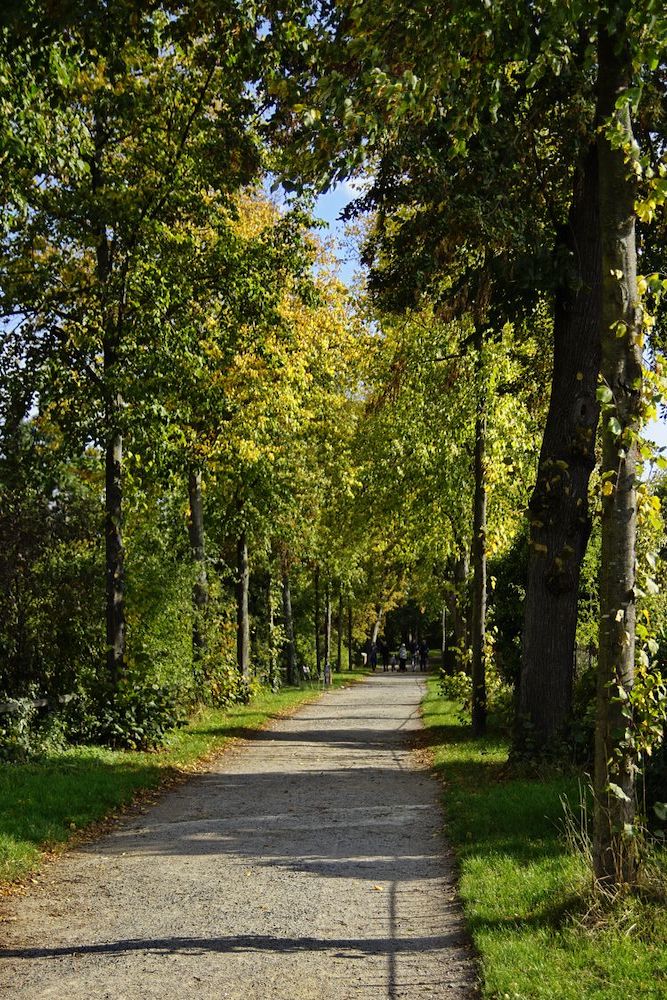 Der Stadtwall in Göttingen, umgeben von üppigem Grün und einem einladenden grünen Weg für Spaziergänger und Radfahrer.