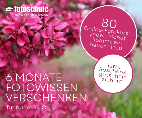 6 Monate Fotowissen verschenken für nur 41,94 €