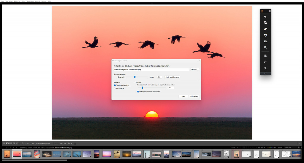 Excire Search 2026 quick access-panel prompt search